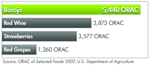 Borojo Fruit ORAC Chart