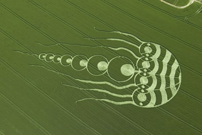 Crop Circles